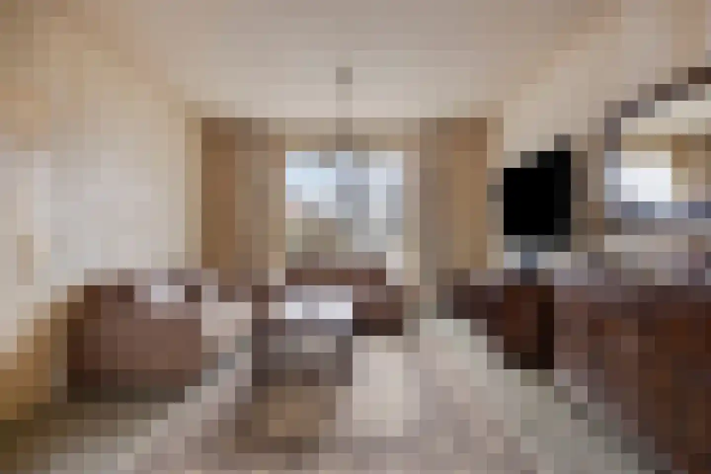 Edelmanstraat 12 Kerkdriel thumbnail 9