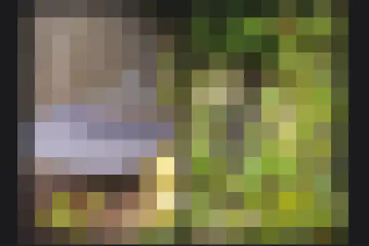 Edelmanstraat 22 Kerkdriel thumbnail 30