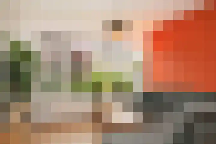Edelmanstraat 22 Kerkdriel thumbnail 8