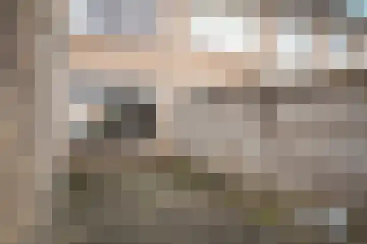 Edelmanstraat 59 Kerkdriel thumbnail 30