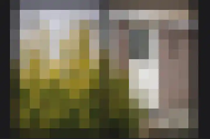 Edelmanstraat 59 Kerkdriel thumbnail 6