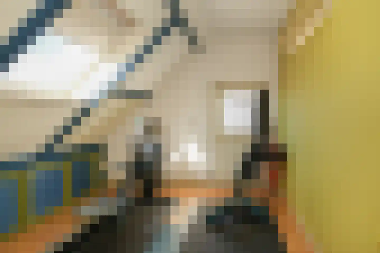 Edelmanstraat 63 Kerkdriel thumbnail 34
