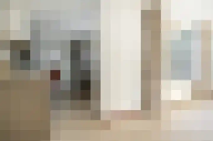 Edelmanstraat 65 Kerkdriel thumbnail 12