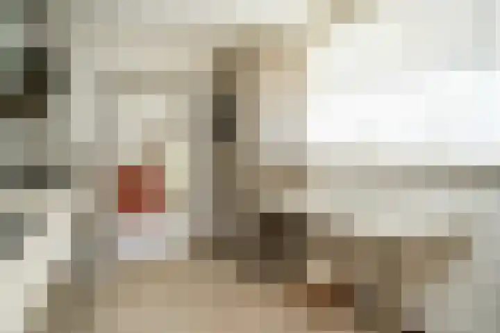 Edelmanstraat 65 Kerkdriel thumbnail 15