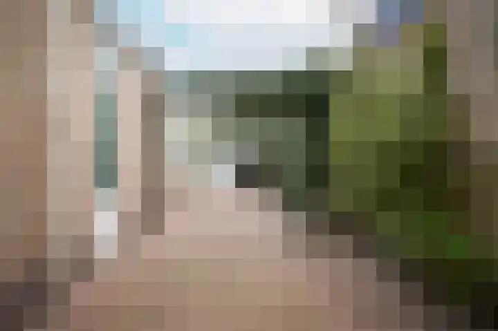 Edelmanstraat 65 Kerkdriel thumbnail 31