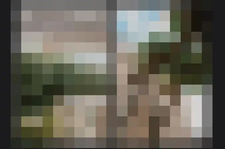 Edelmanstraat 65 Kerkdriel thumbnail 32