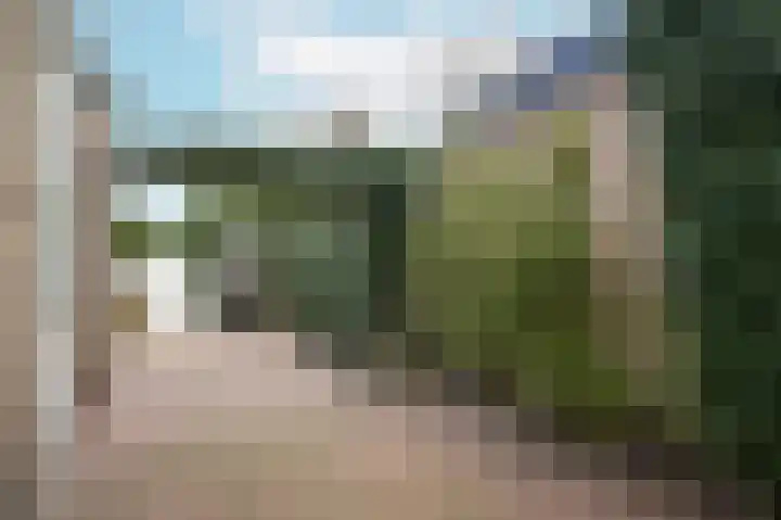 Edelmanstraat 65 Kerkdriel thumbnail 33