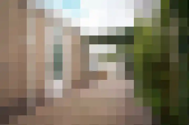 Edelmanstraat 65 Kerkdriel thumbnail 34