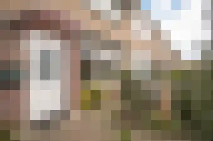 Edelmanstraat 65 Kerkdriel thumbnail 35