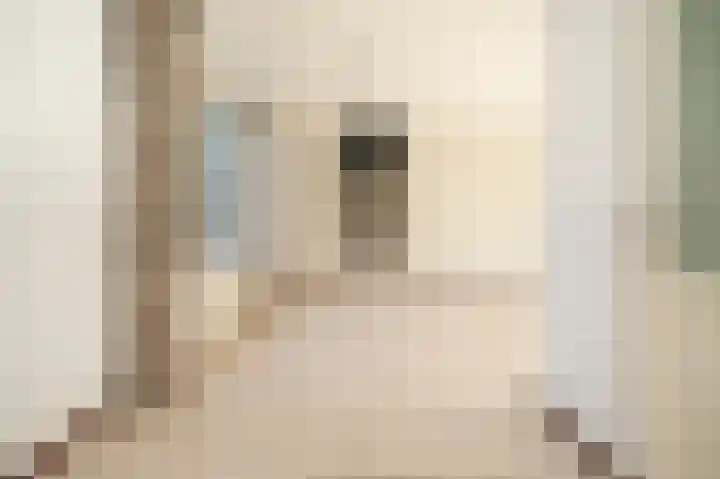 Edelmanstraat 65 Kerkdriel thumbnail 6