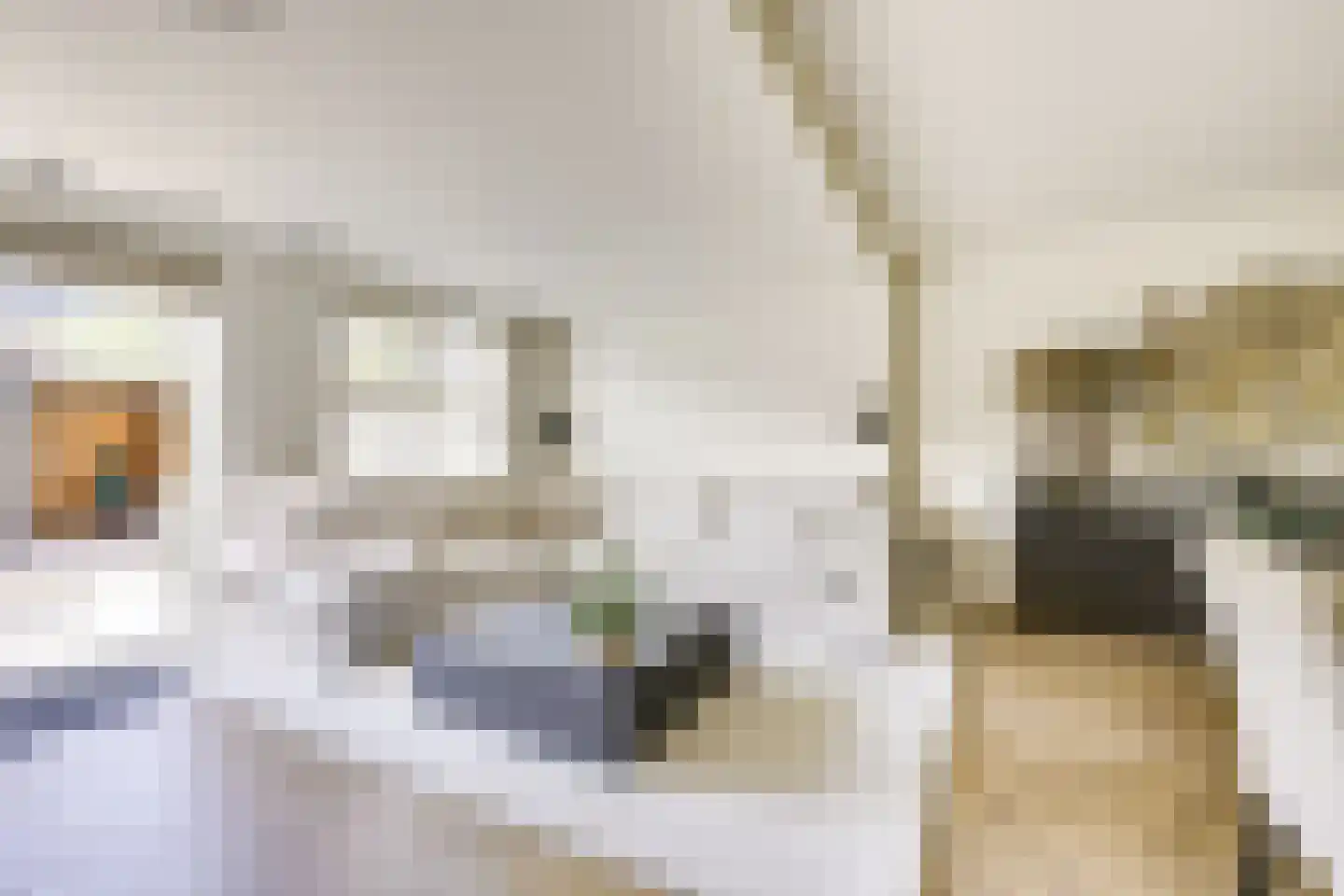Edelsteen 184 Houten thumbnail 10
