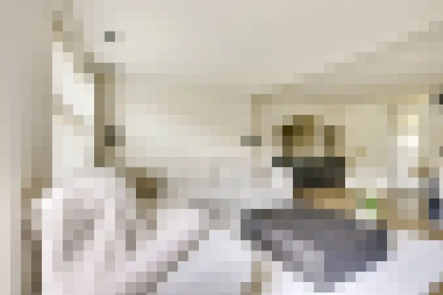 Edelsteen 184 Houten thumbnail 12