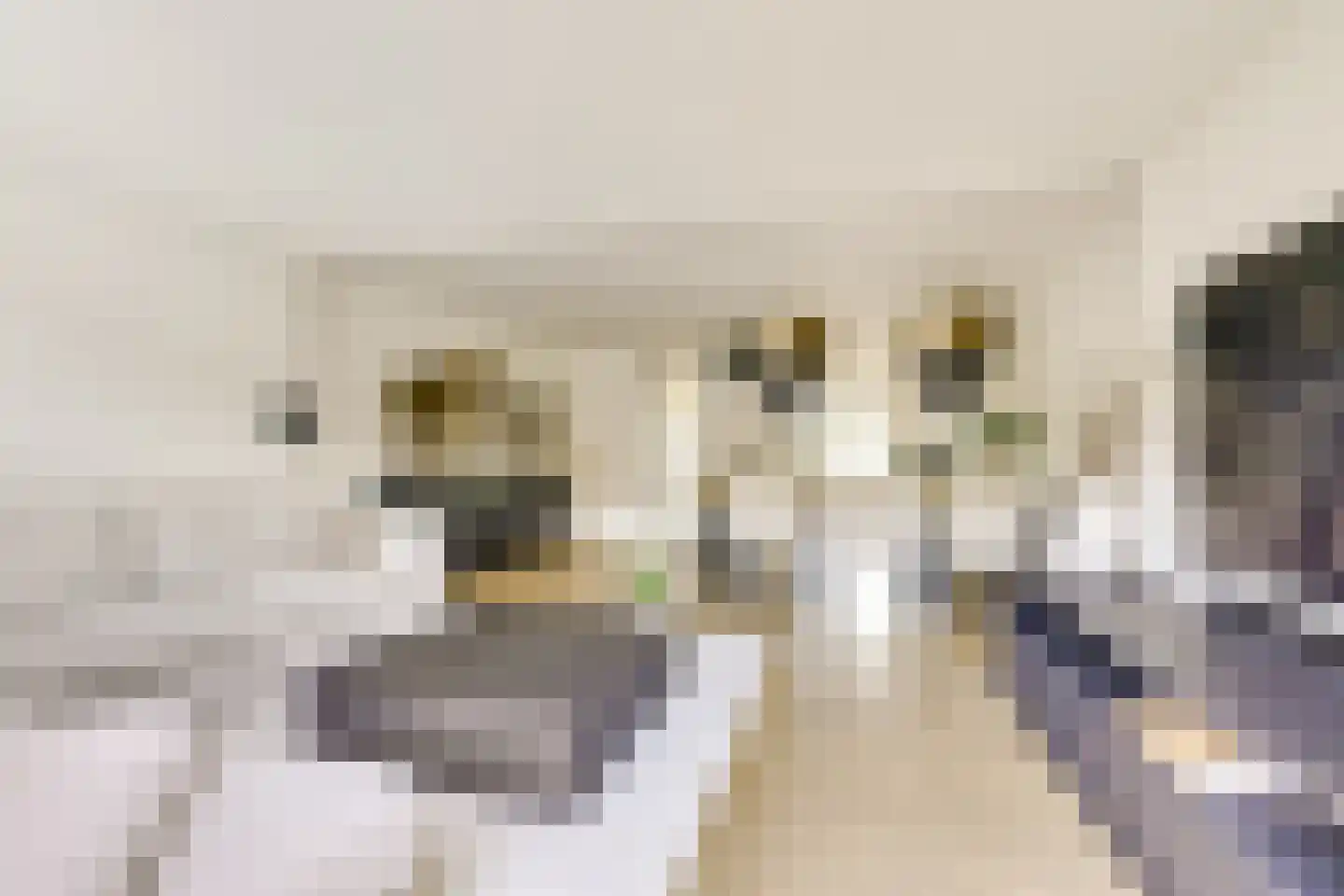 Edelsteen 184 Houten thumbnail 13