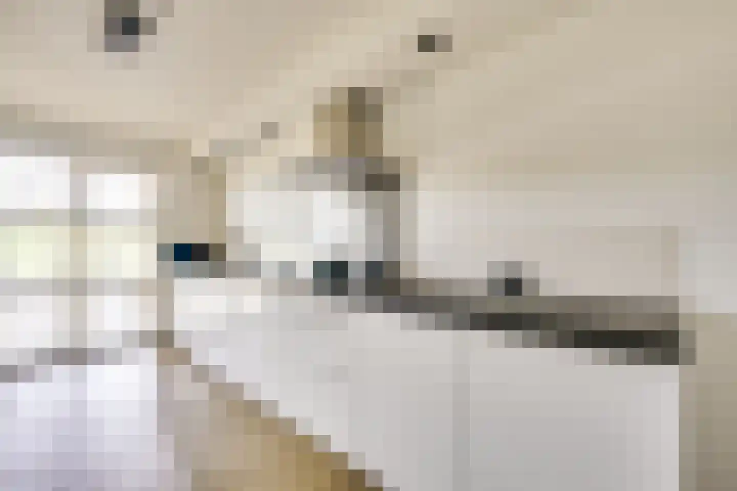 Edelsteen 184 Houten thumbnail 15