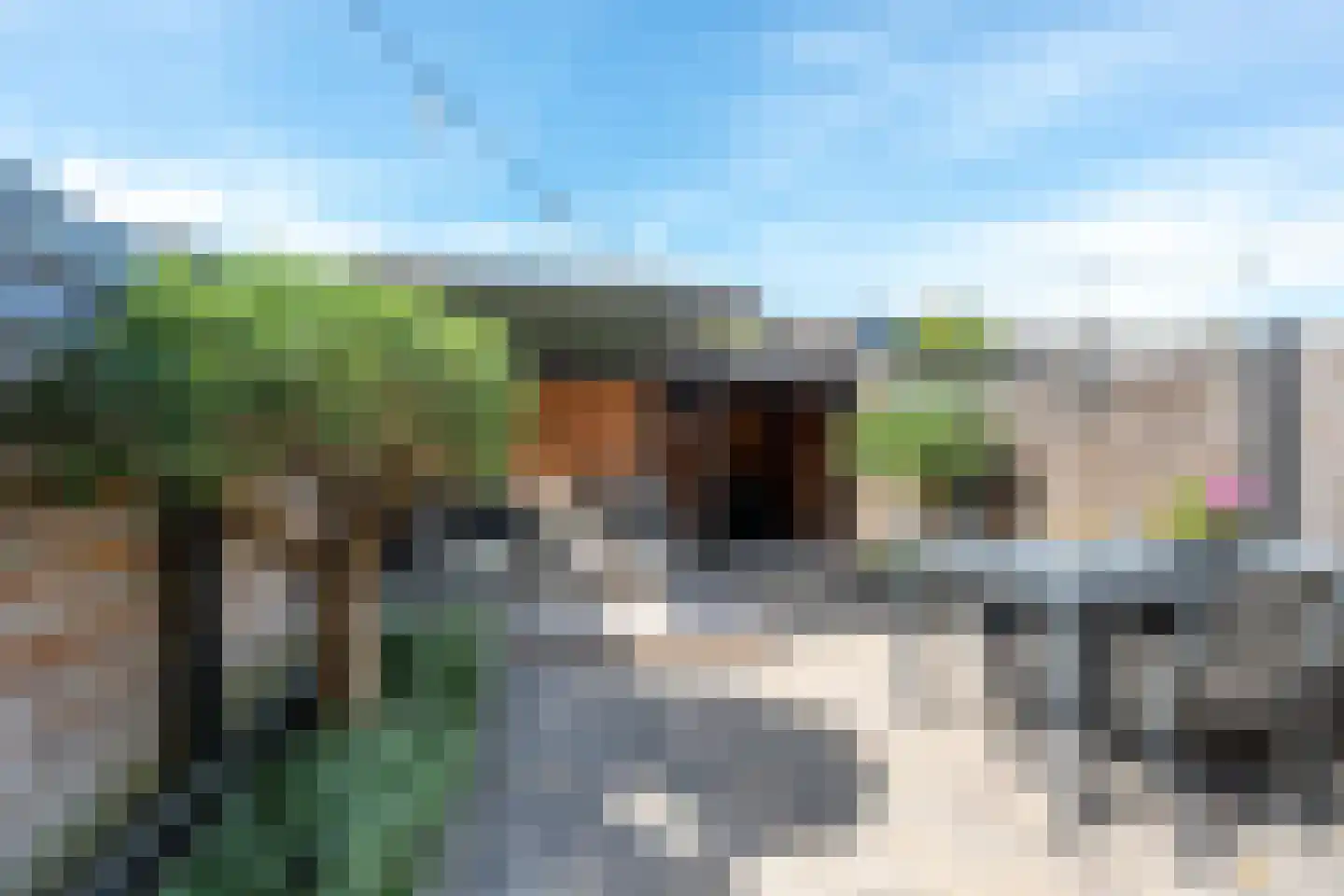 Edelsteen 184 Houten thumbnail 20