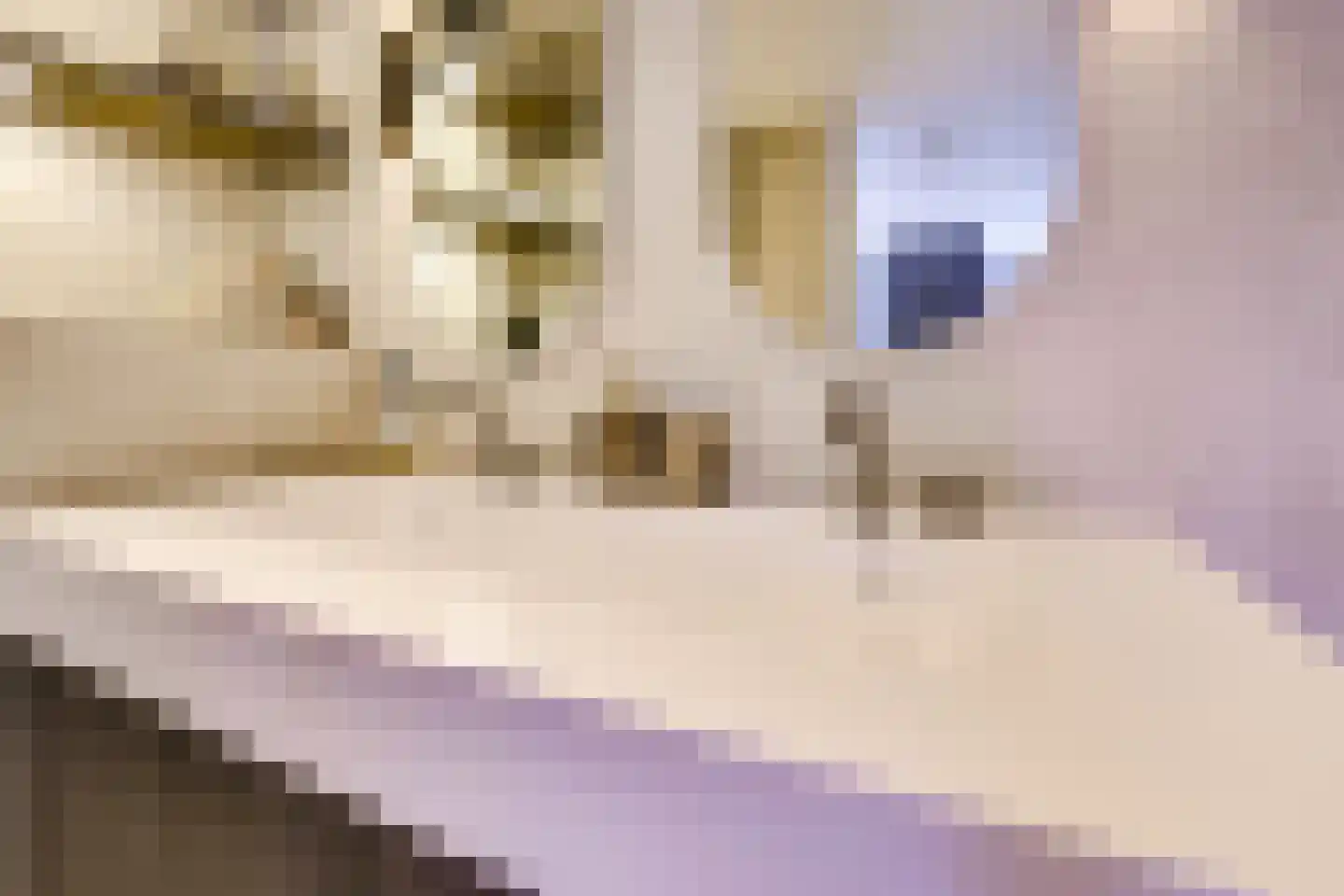 Edelsteen 184 Houten thumbnail 36