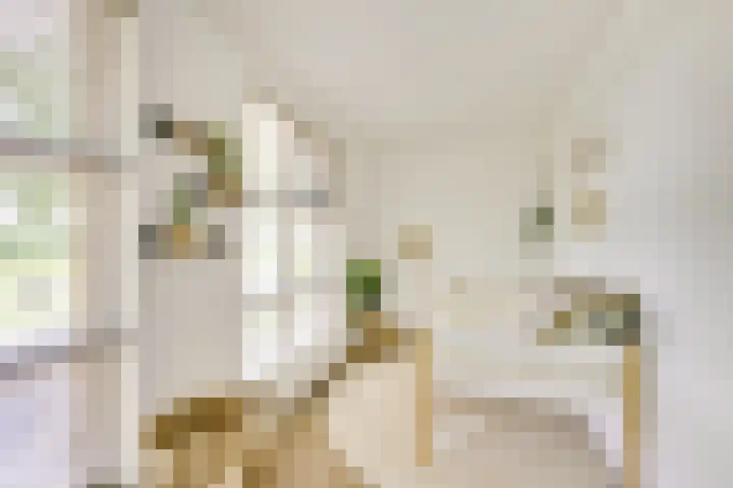 Edelsteen 184 Houten thumbnail 39