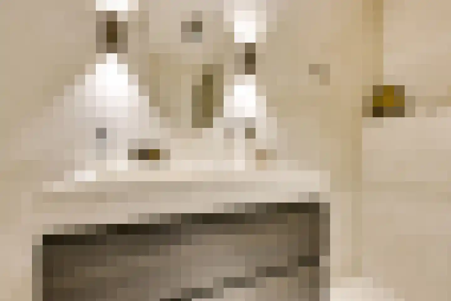 Edelsteen 184 Houten thumbnail 48