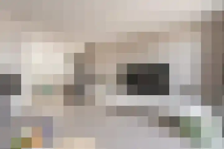 Edelsteen 56 Houten thumbnail 15