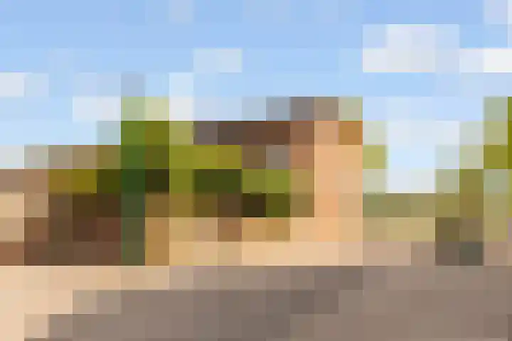 Edelsteen 56 Houten thumbnail 43