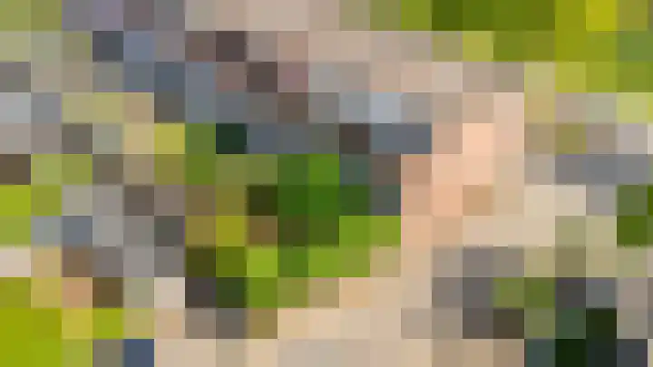 Edelsteen 56 Houten thumbnail 45