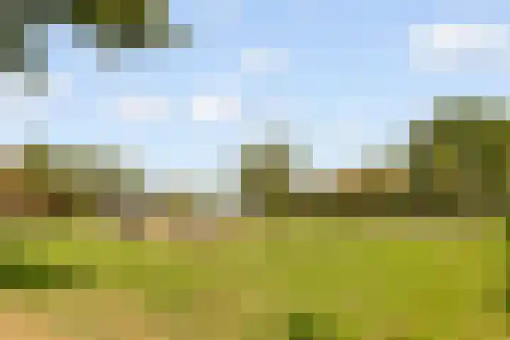 Edelsteen 56 Houten thumbnail 53