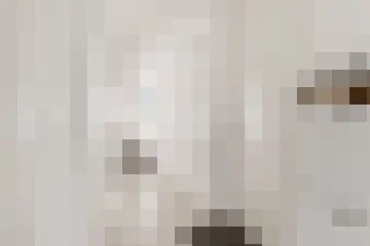 Edelsteen 56 Houten thumbnail 9