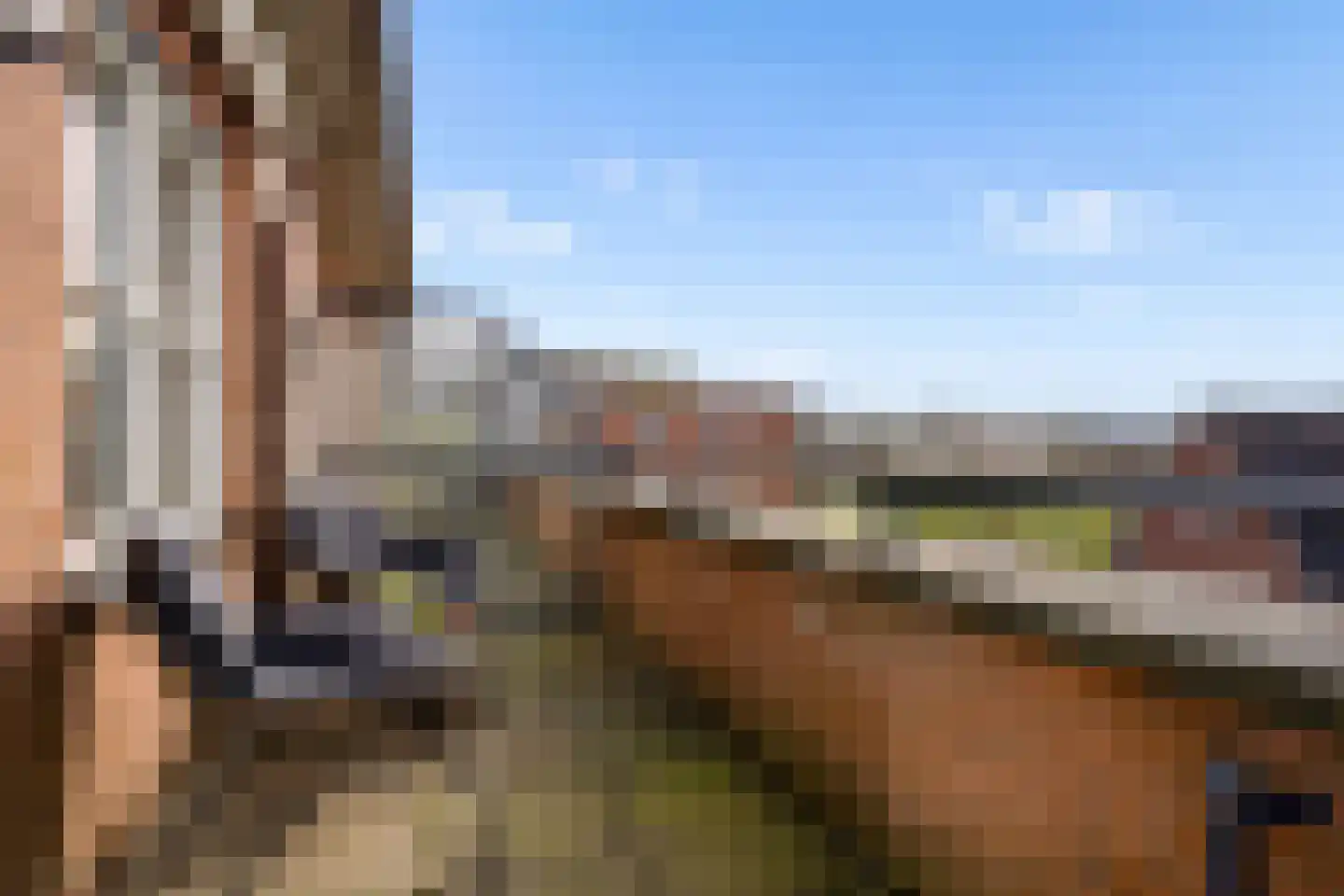 Edelsteen 66 Houten thumbnail 14