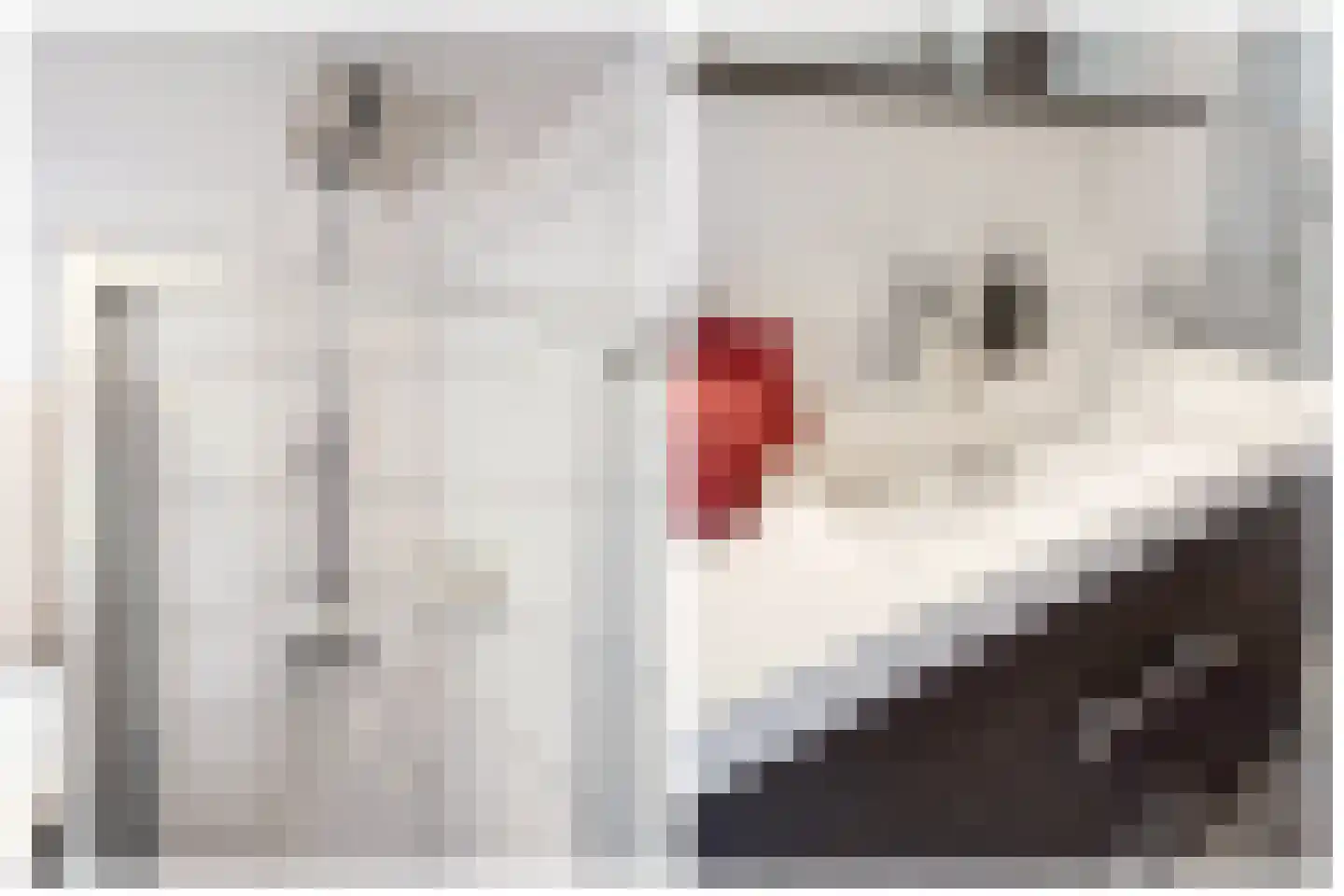 Edelsteen 66 Houten thumbnail 36