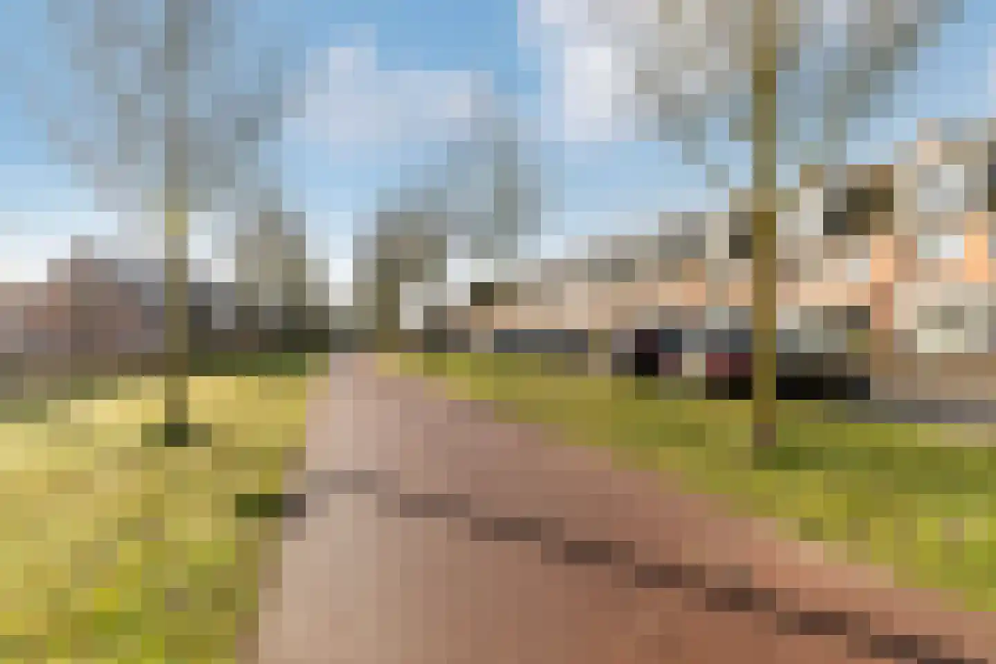 Edelsteen 66 Houten thumbnail 42