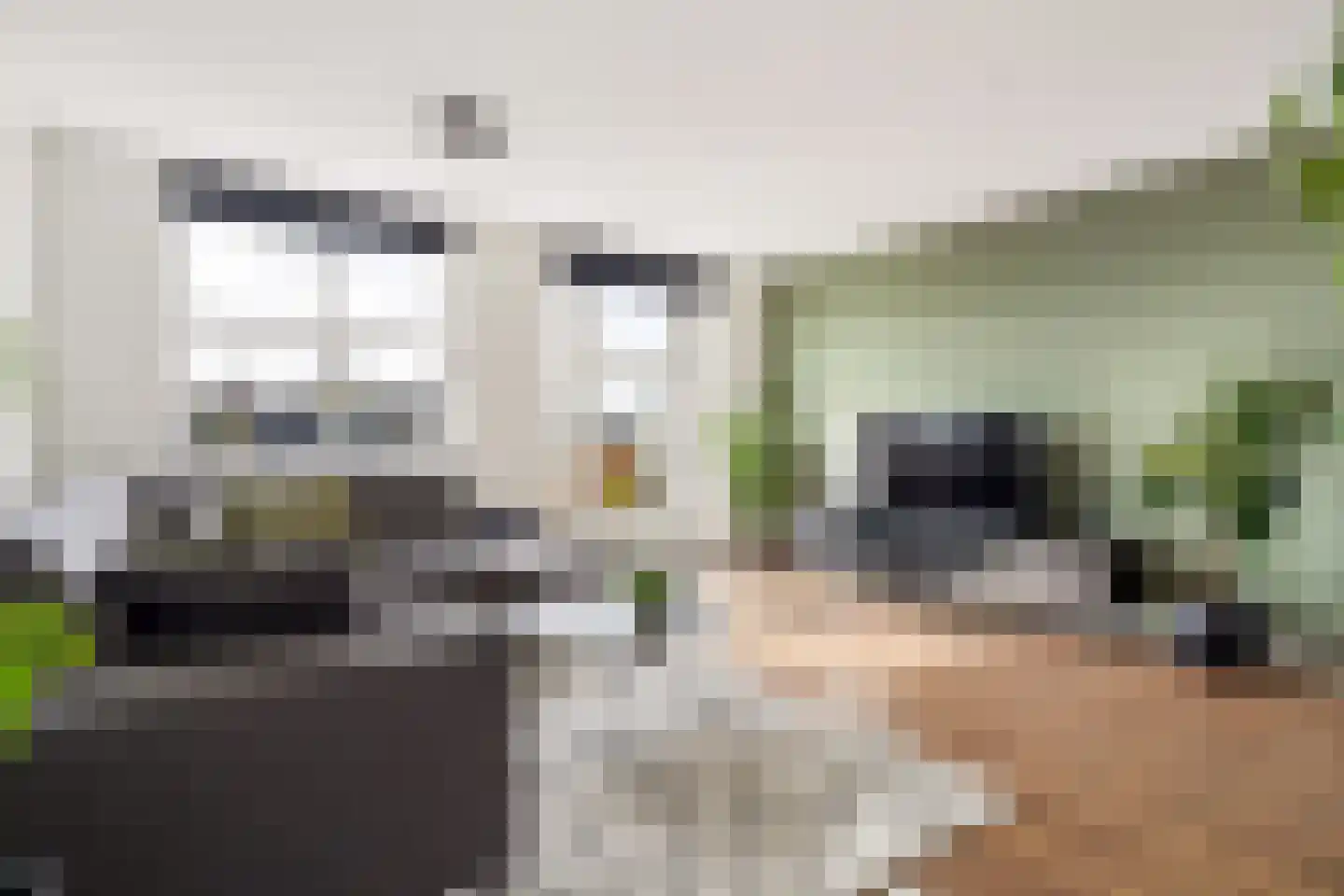 Edelsteen 66 Houten thumbnail 8