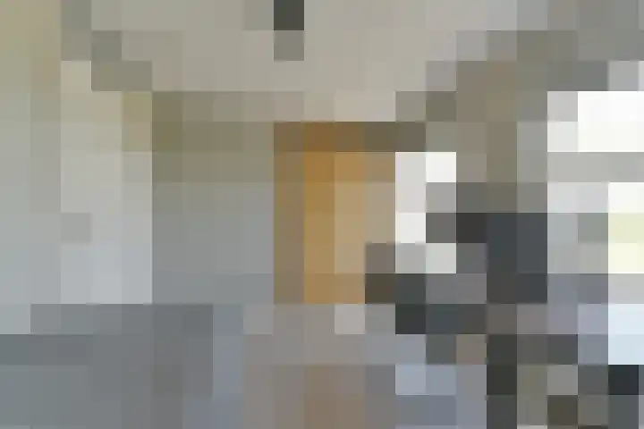 Edelsteen 72 Houten thumbnail 11