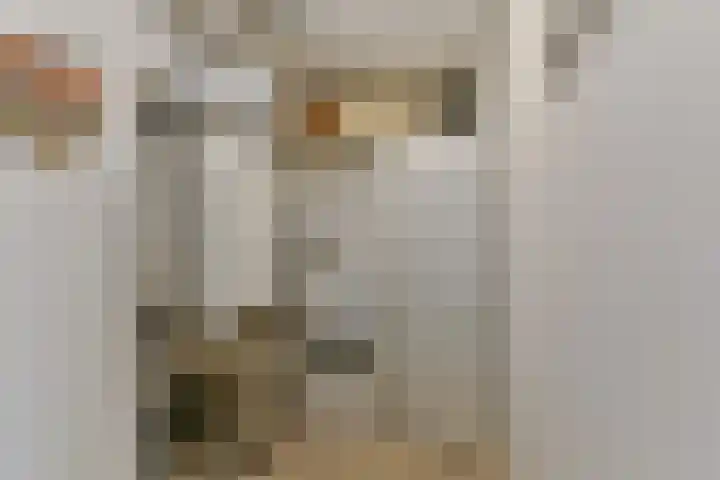 Edelsteen 72 Houten thumbnail 17