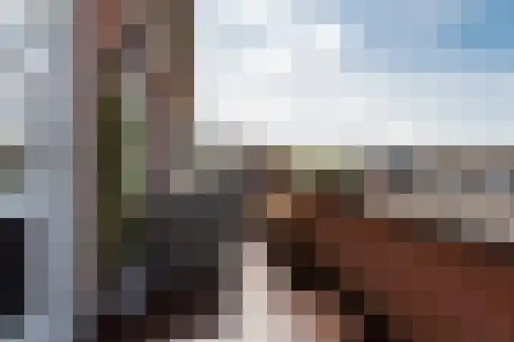 Edelsteen 72 Houten thumbnail 32