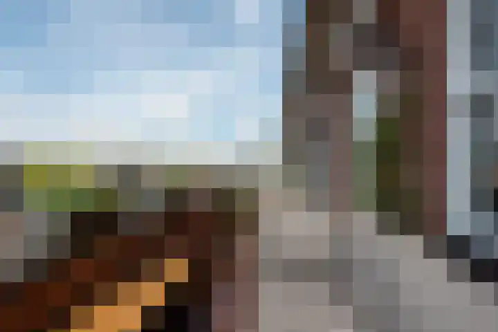 Edelsteen 72 Houten thumbnail 34