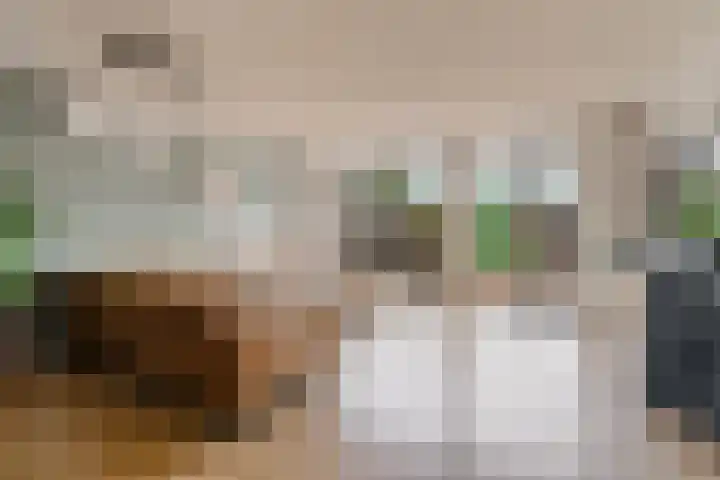 Edelsteen 9 Houten thumbnail 11