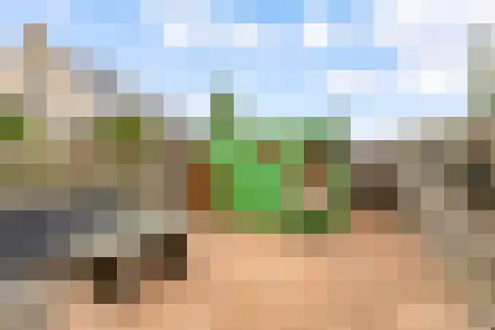 Edelsteen 9 Houten thumbnail 42