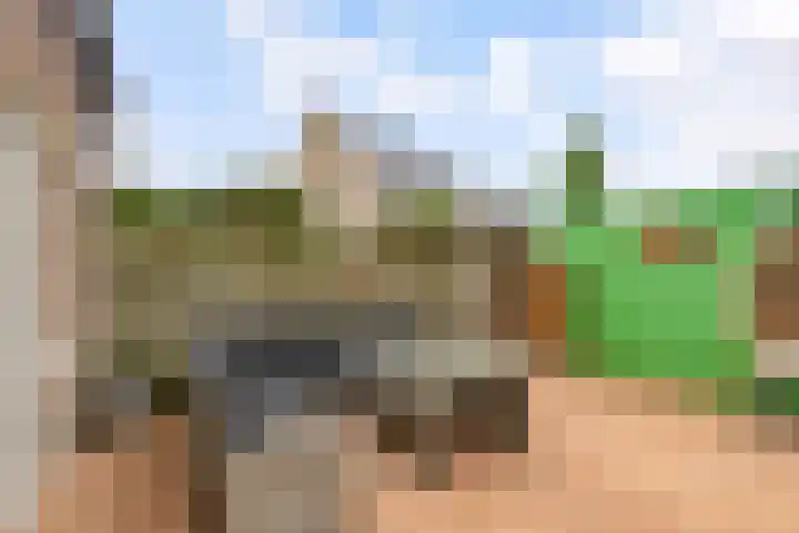 Edelsteen 9 Houten thumbnail 44