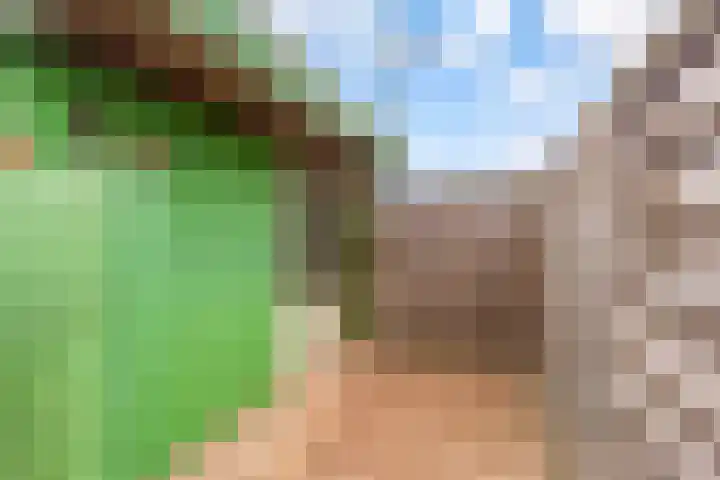 Edelsteen 9 Houten thumbnail 46