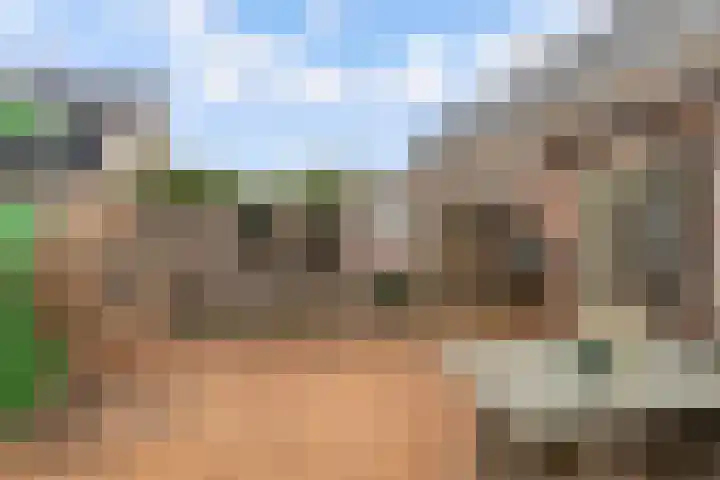 Edelsteen 9 Houten thumbnail 48