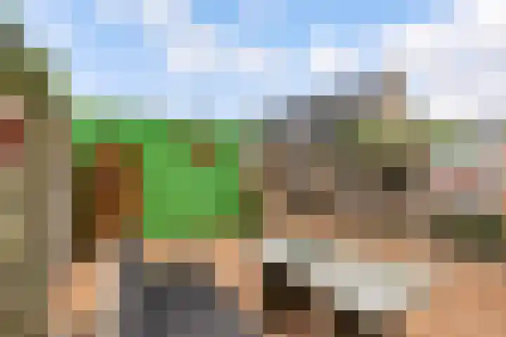 Edelsteen 9 Houten thumbnail 49