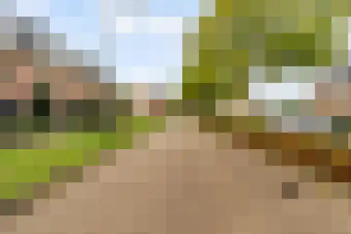 Edelsteen 9 Houten thumbnail 52