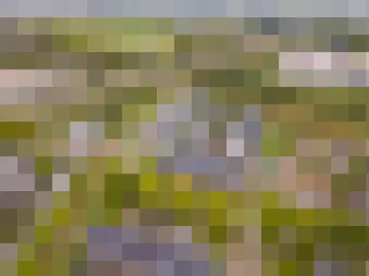 Edelsteen 9 Houten thumbnail 53