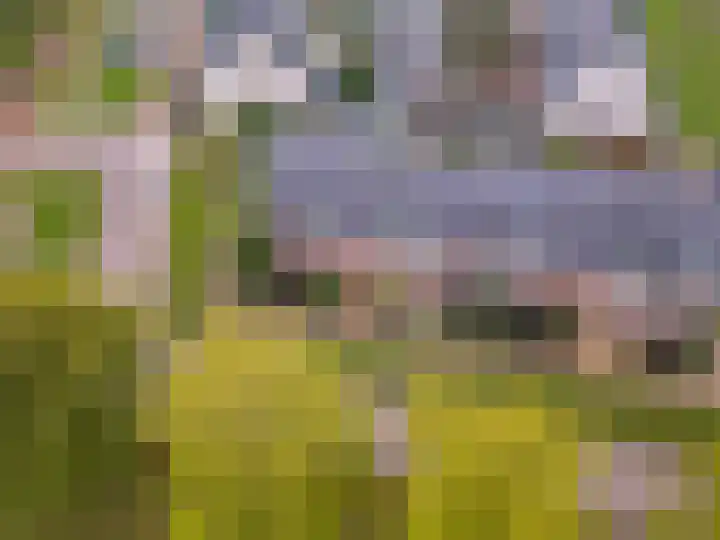 Edelsteen 9 Houten thumbnail 55