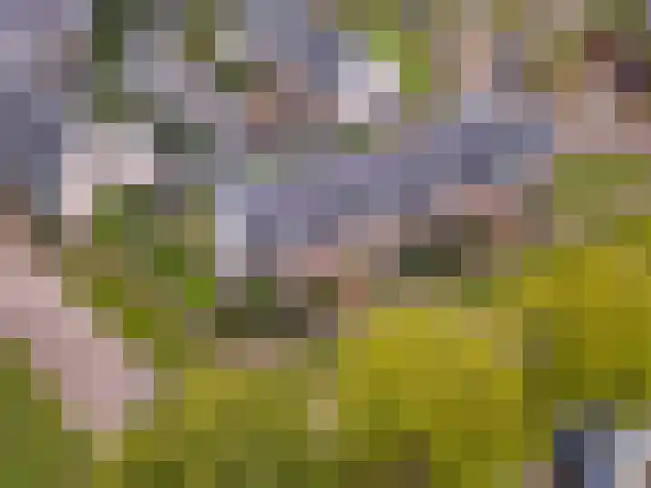 Edelsteen 9 Houten thumbnail 56