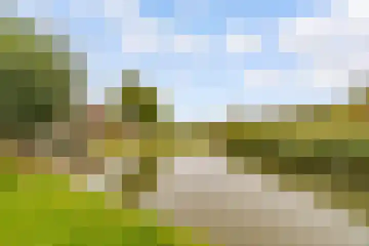 Edelsteen 9 Houten thumbnail 57