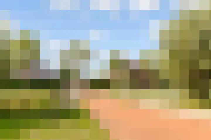 Edelsteen 9 Houten thumbnail 58