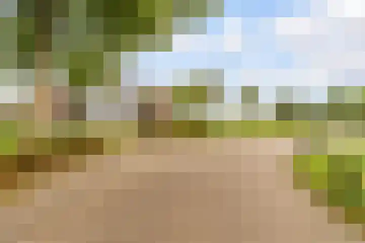 Edelsteen 9 Houten thumbnail 59