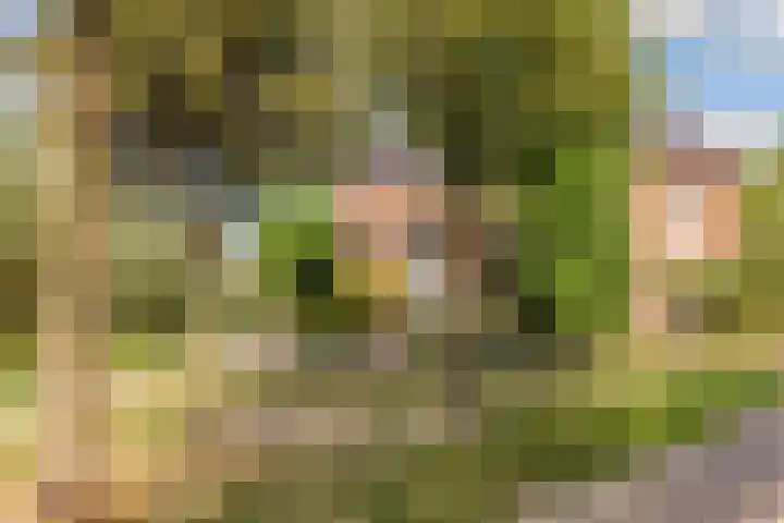 Edelsteen 9 Houten thumbnail 60