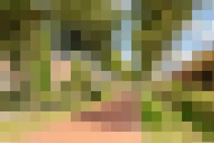 Edelsteen 9 Houten thumbnail 61